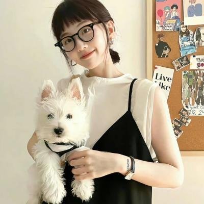 美国兔子的冒险